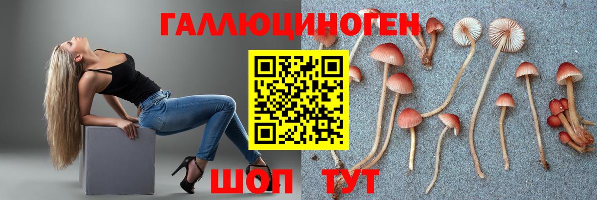 дарнет шоп  Галлюциногенные грибы Psilocybine cubensis  Новоалтайск  Вход с VPN  Псилоцибиновые грибы MAGIC MUSHROOMS 